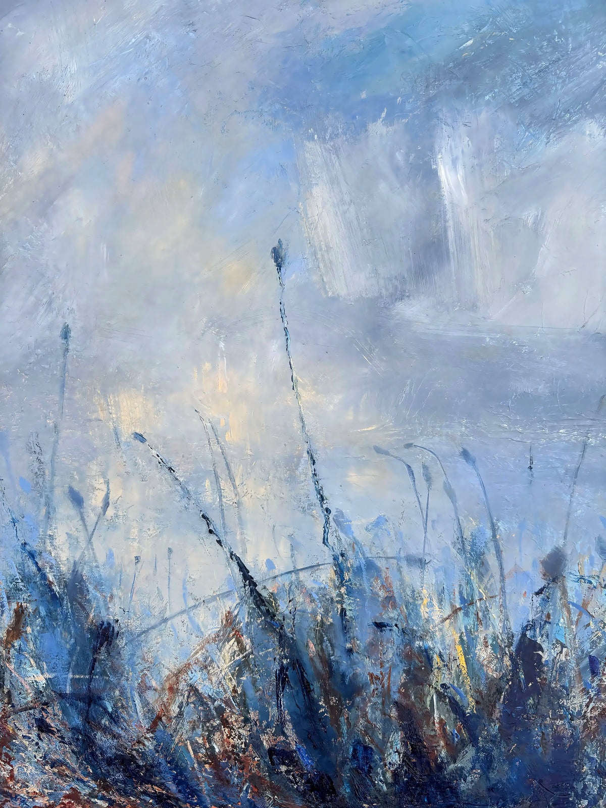 Amongst Cliff Top Meadows