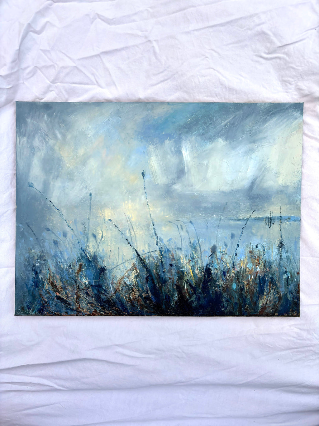 Amongst Cliff Top Meadows