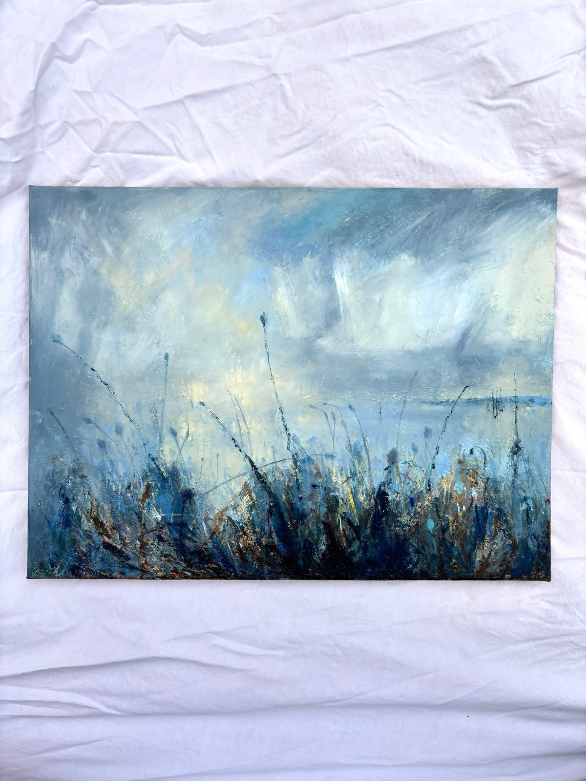 Amongst Cliff Top Meadows