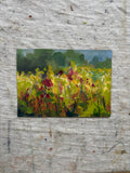 Meadows
