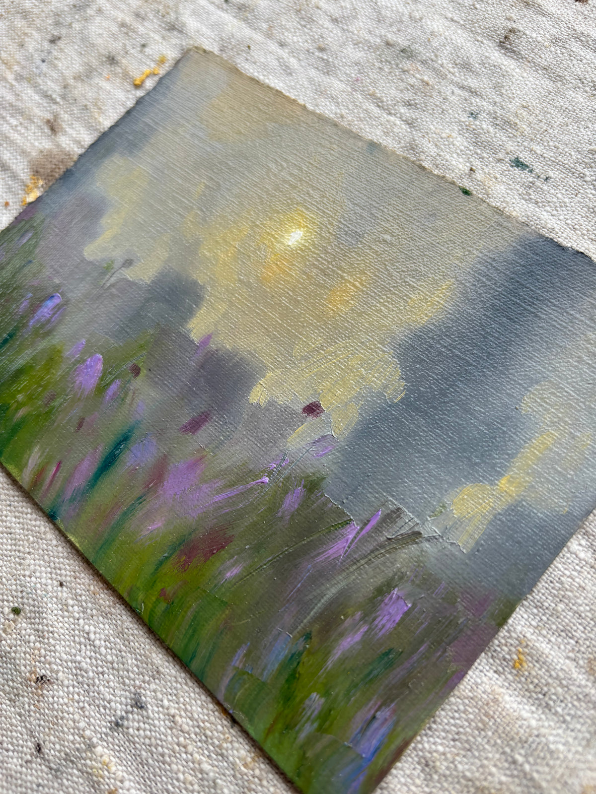 Morning Meadows
