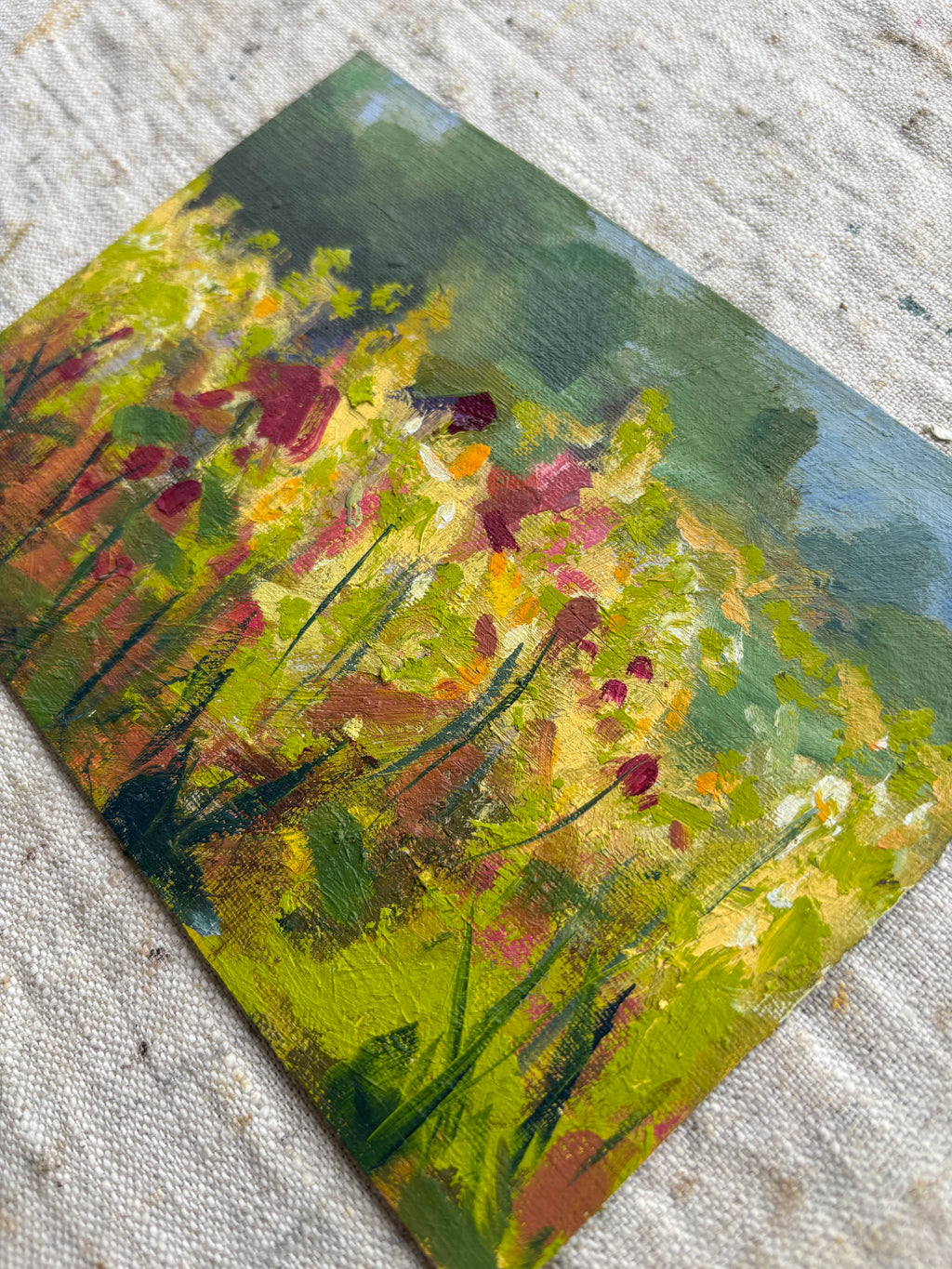 Meadows
