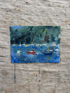 Dartmouth Boats
