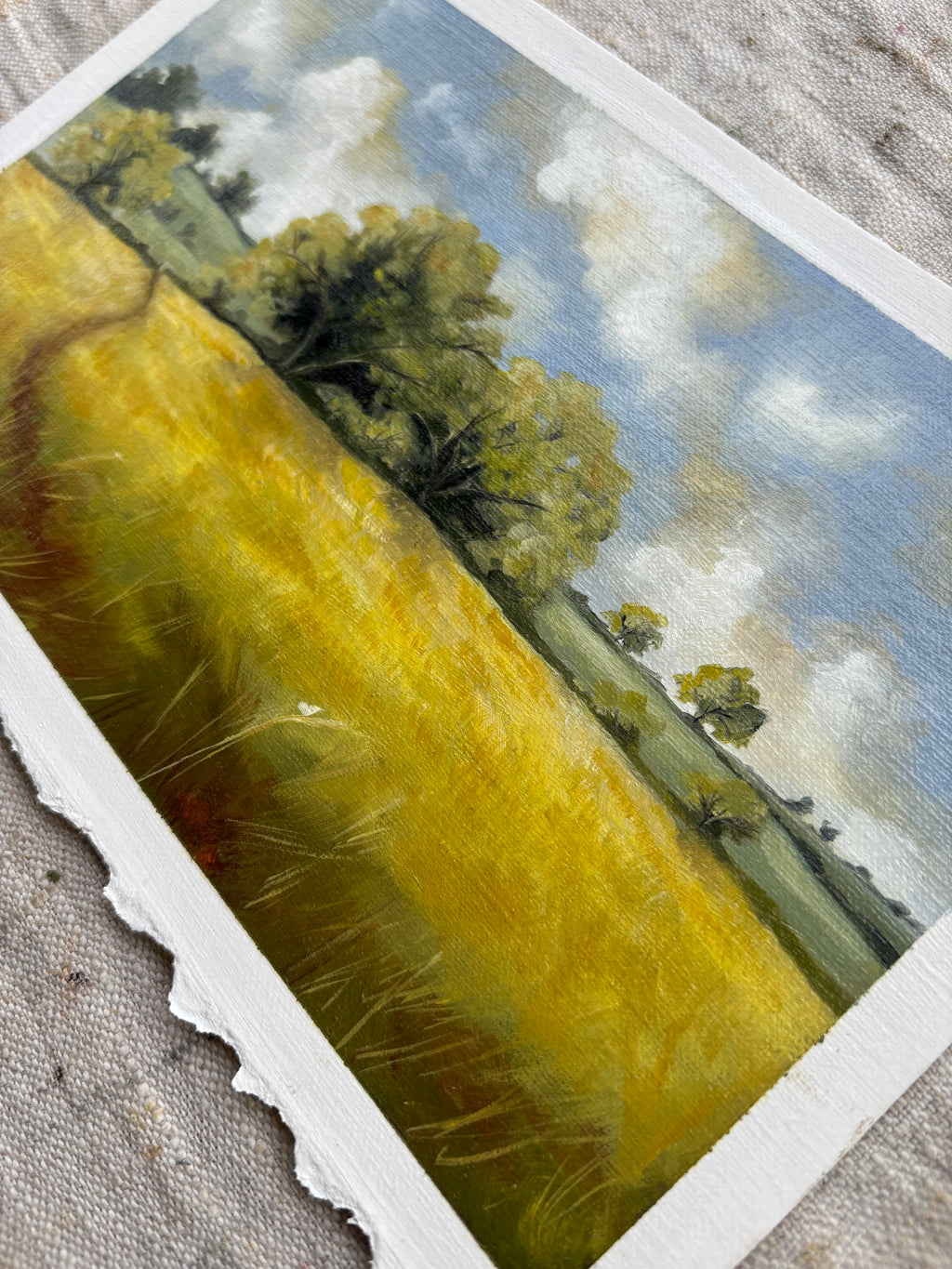 Fields of Peace