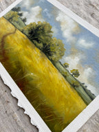Fields of Peace