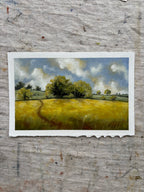 Fields of Peace