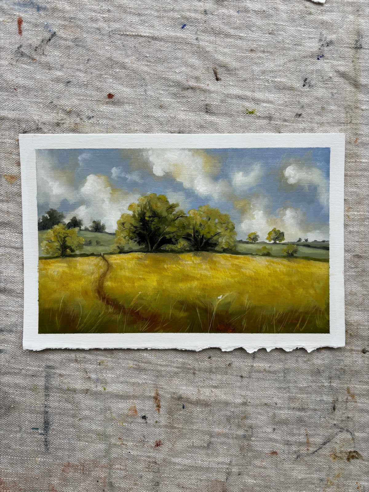 Fields of Peace