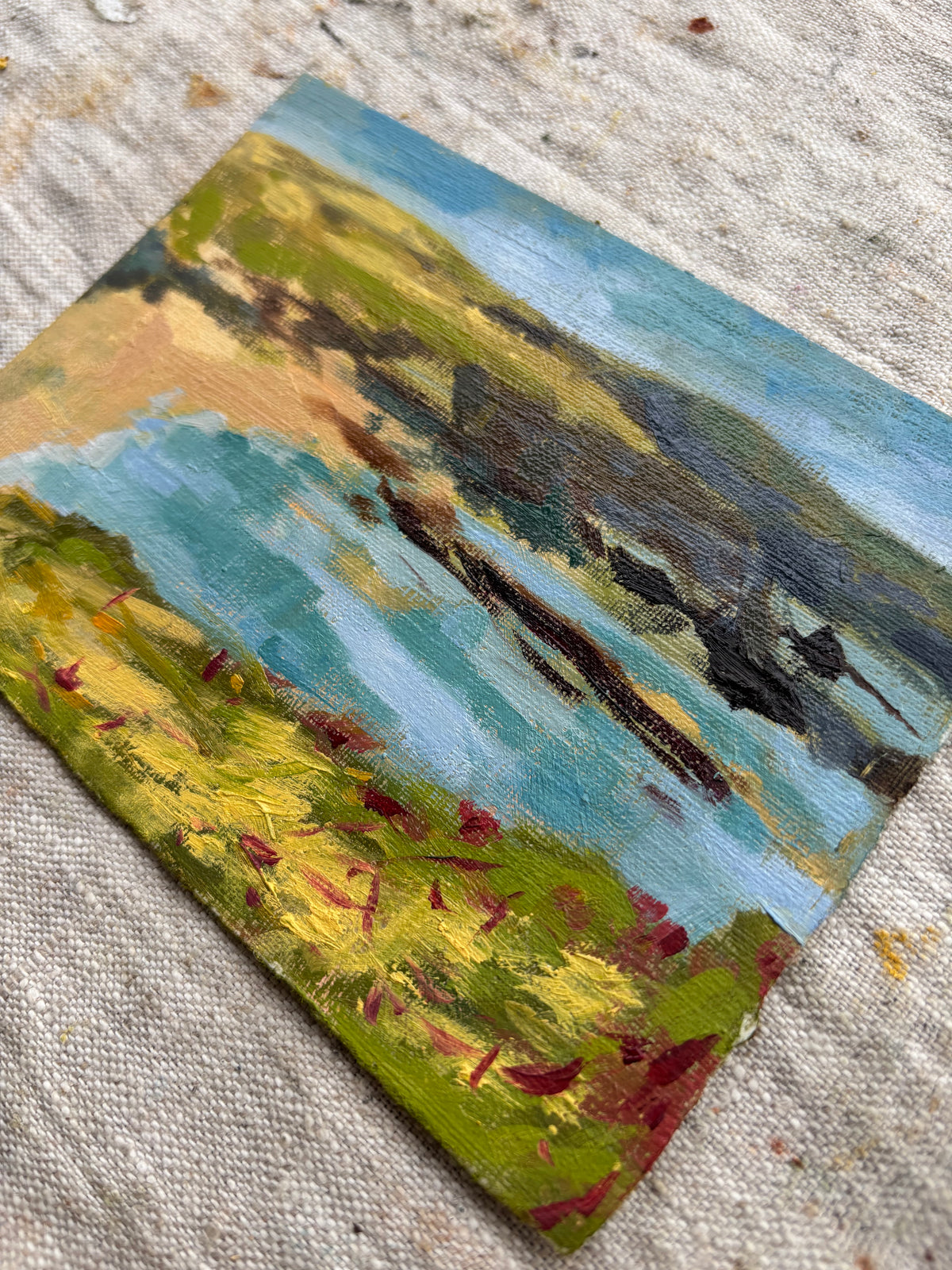 Cliff Top Meadows