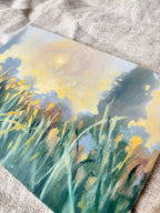 Meadows at First Light