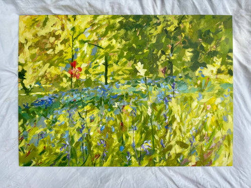 'Bluebell meadow'