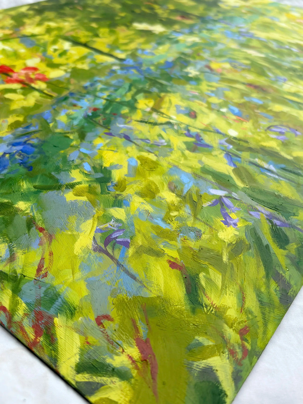 'Bluebell meadow'