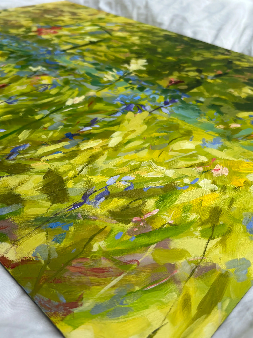 'Bluebell meadow'