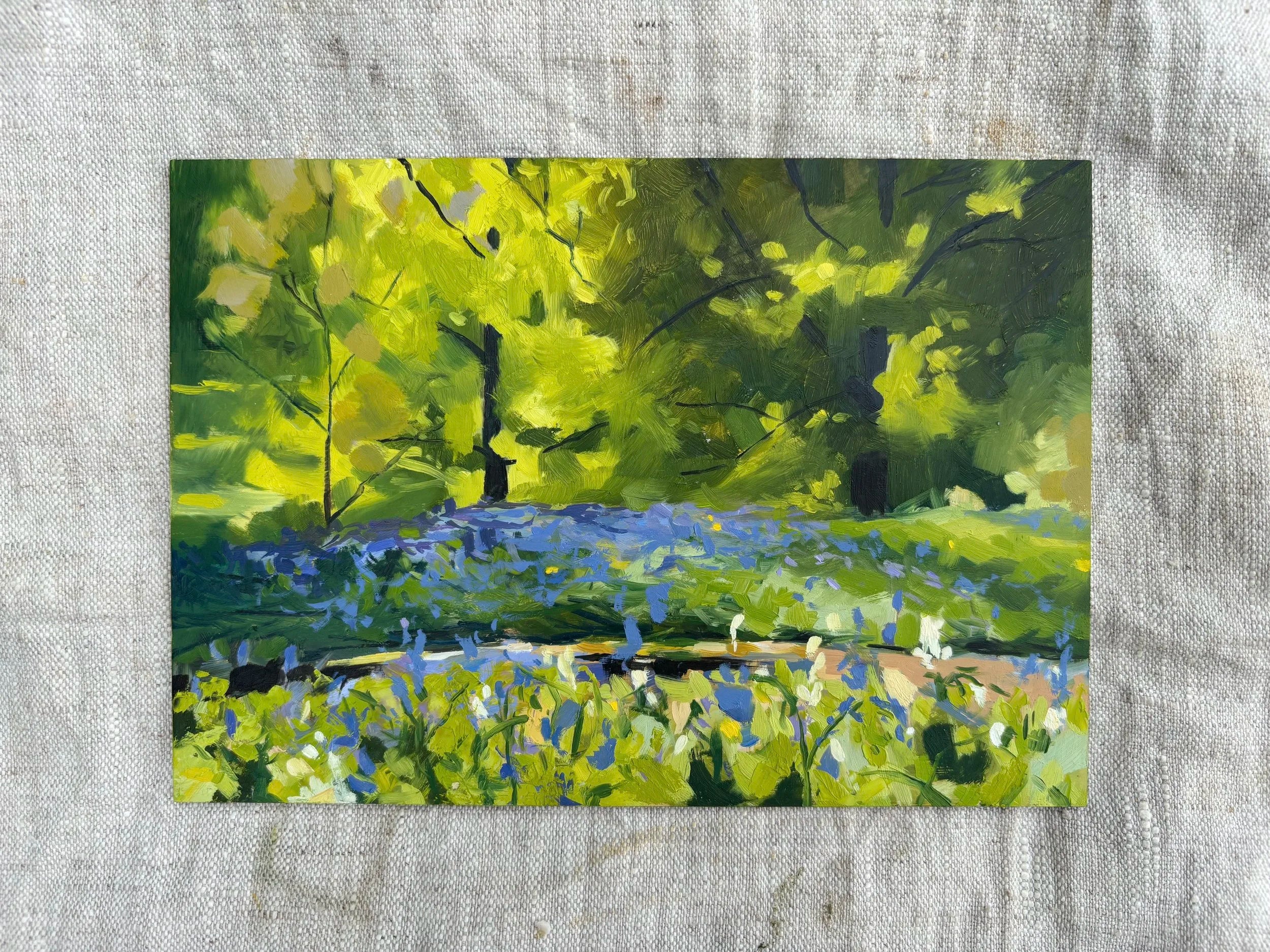 'Bluebell's Light'