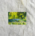 'Bluebell's Light'