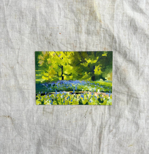 'Bluebell's Light'