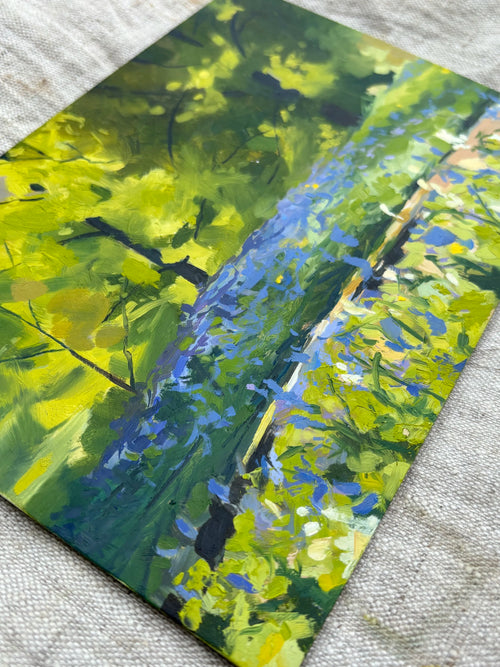 'Bluebell's Light'