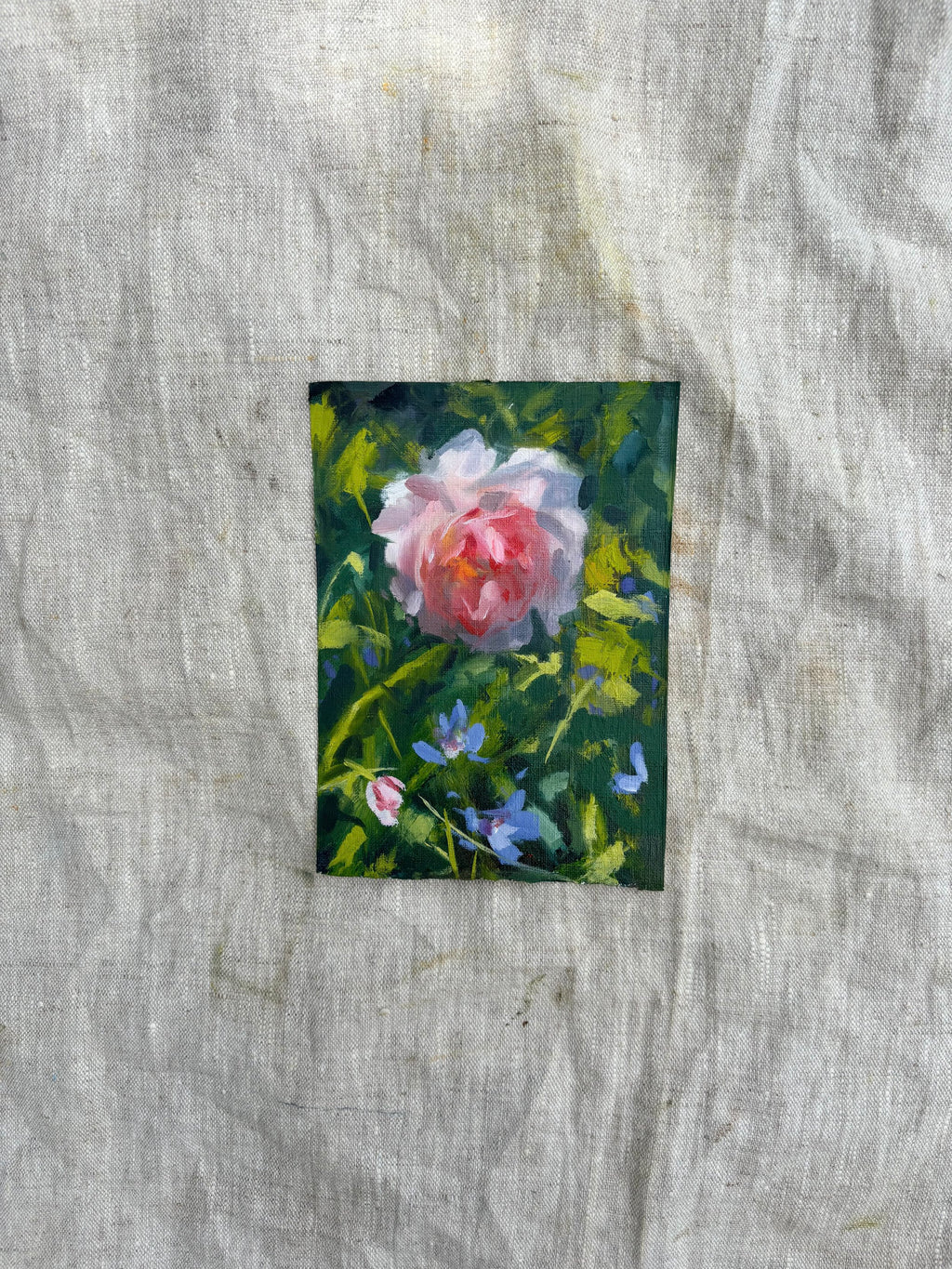 'Softly Blooming'