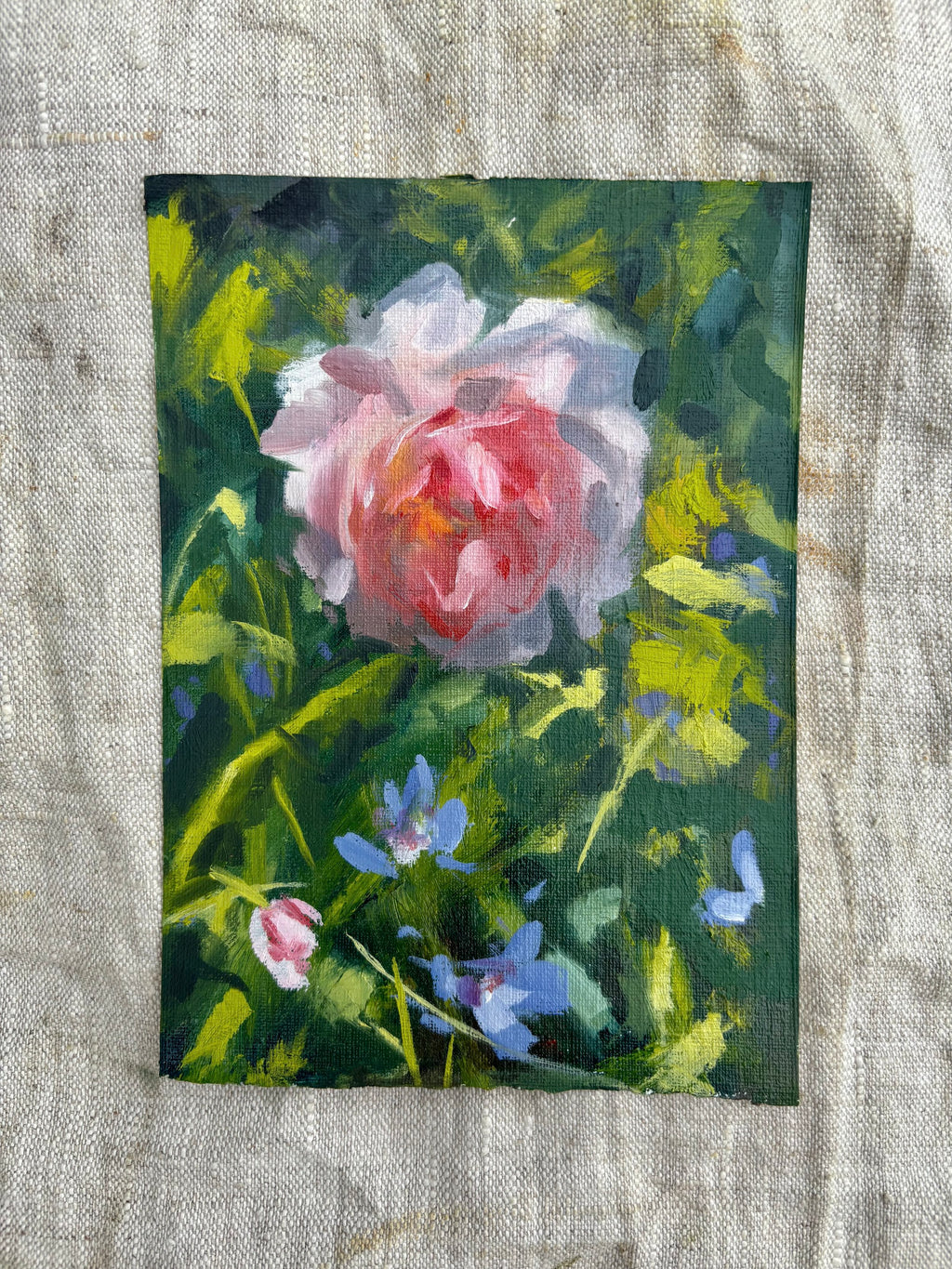 'Softly Blooming'