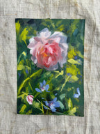 'Softly Blooming'
