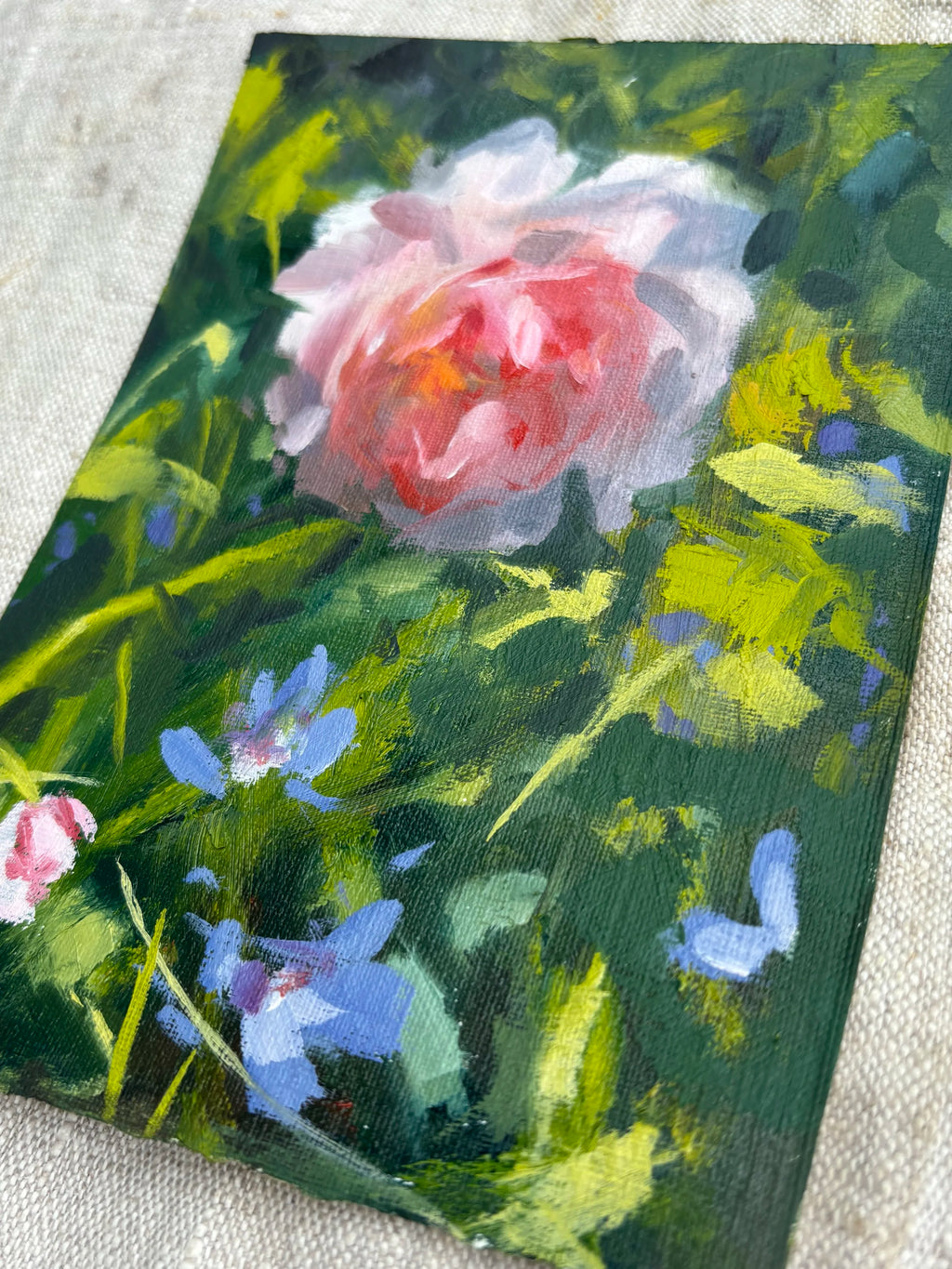 'Softly Blooming'