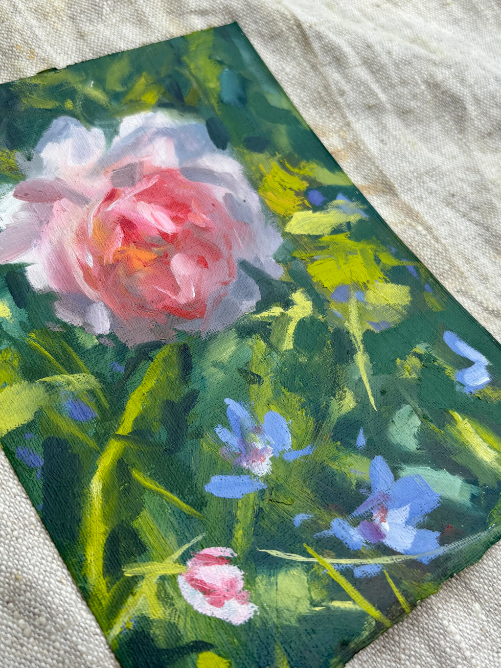 'Softly Blooming'
