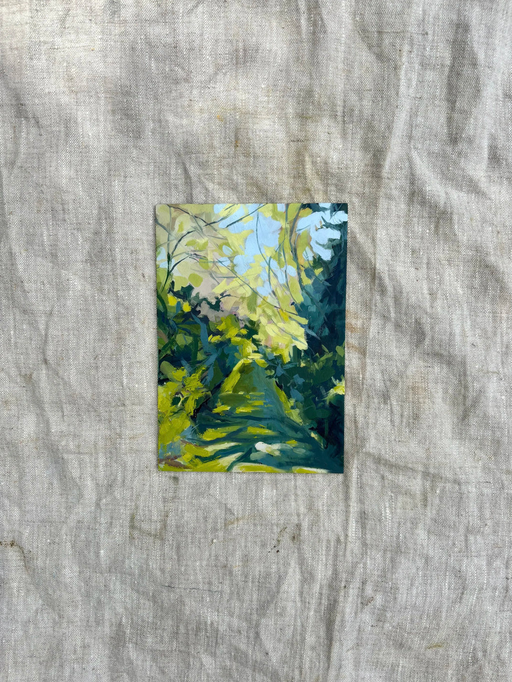 'Dappled Pathway'