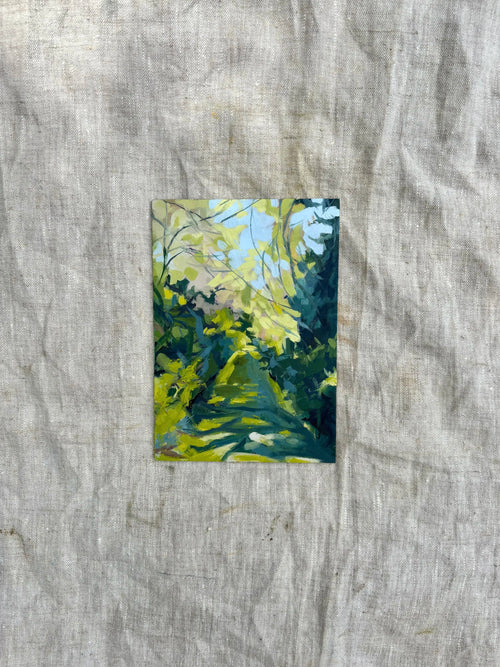 'Dappled Pathway'
