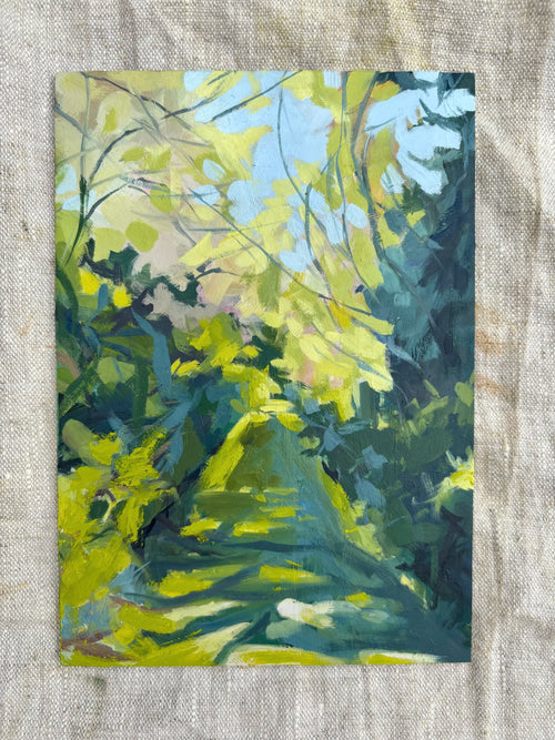 'Dappled Pathway'