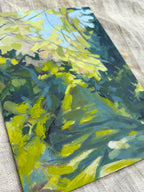 'Dappled Pathway'
