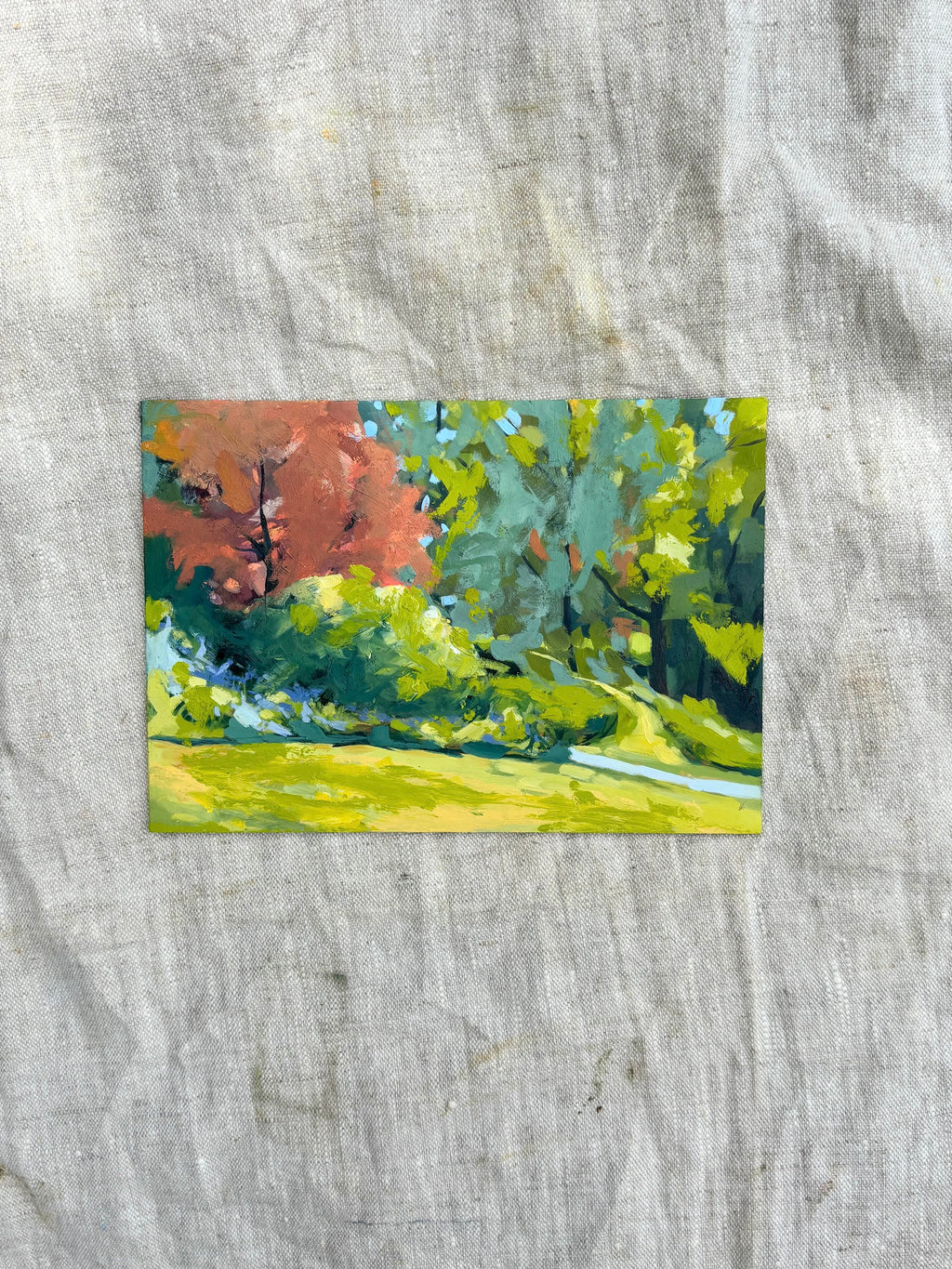 'Sunny Pathway'