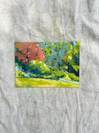 'Sunny Pathway'