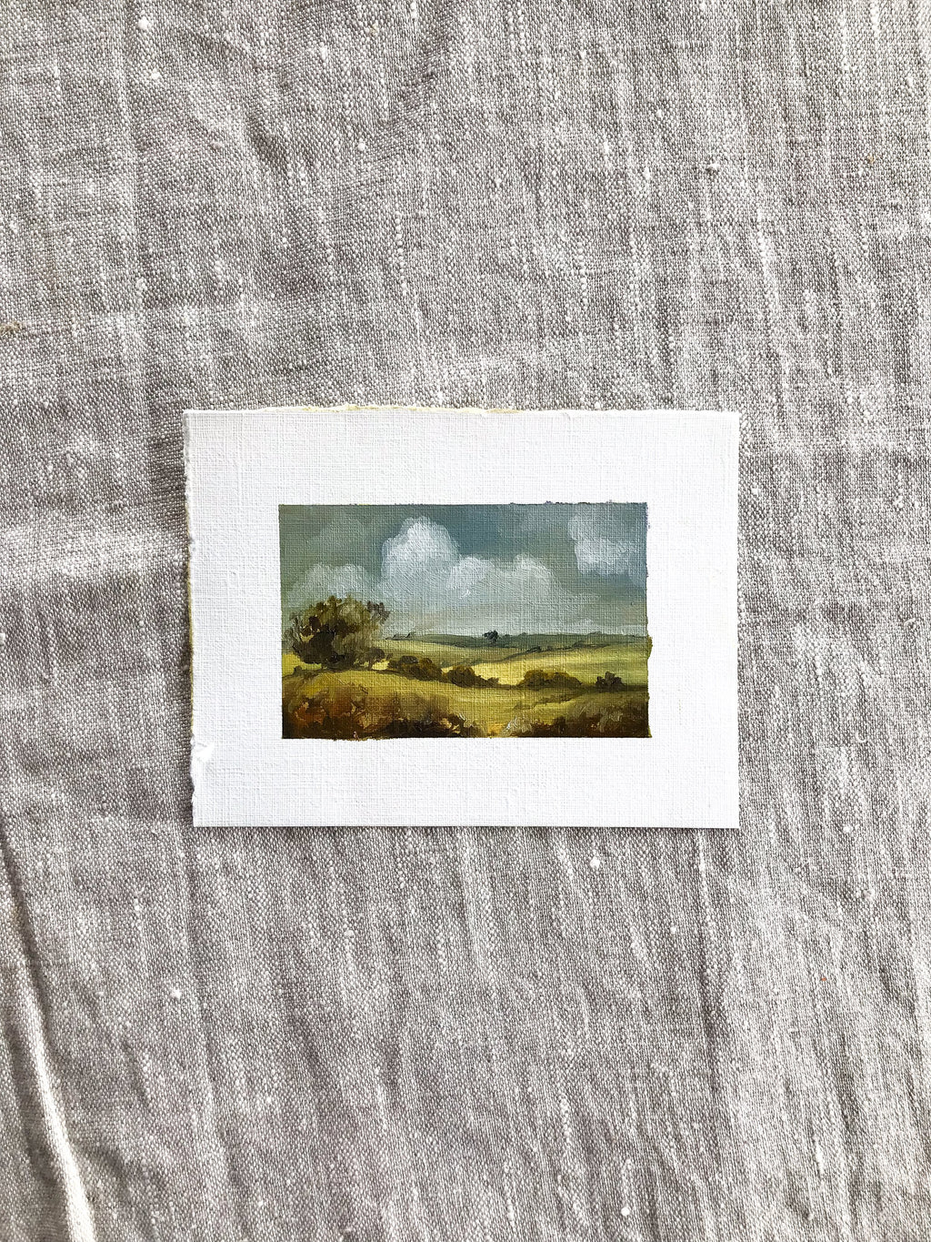 'Spring Fields' - Oil on paper original